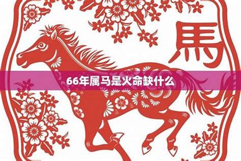 1966馬五行|1966年出生属什么生肖 1966年属马是什么命